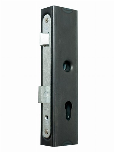 Kaseta z zamkiem zapadkowym 40x60 mm do wspawania